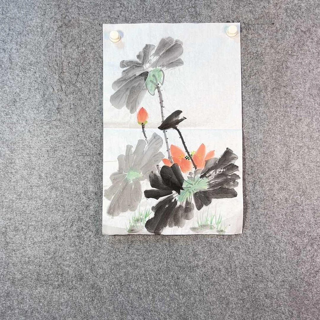 国画176 牡丹等植物资源丰富的