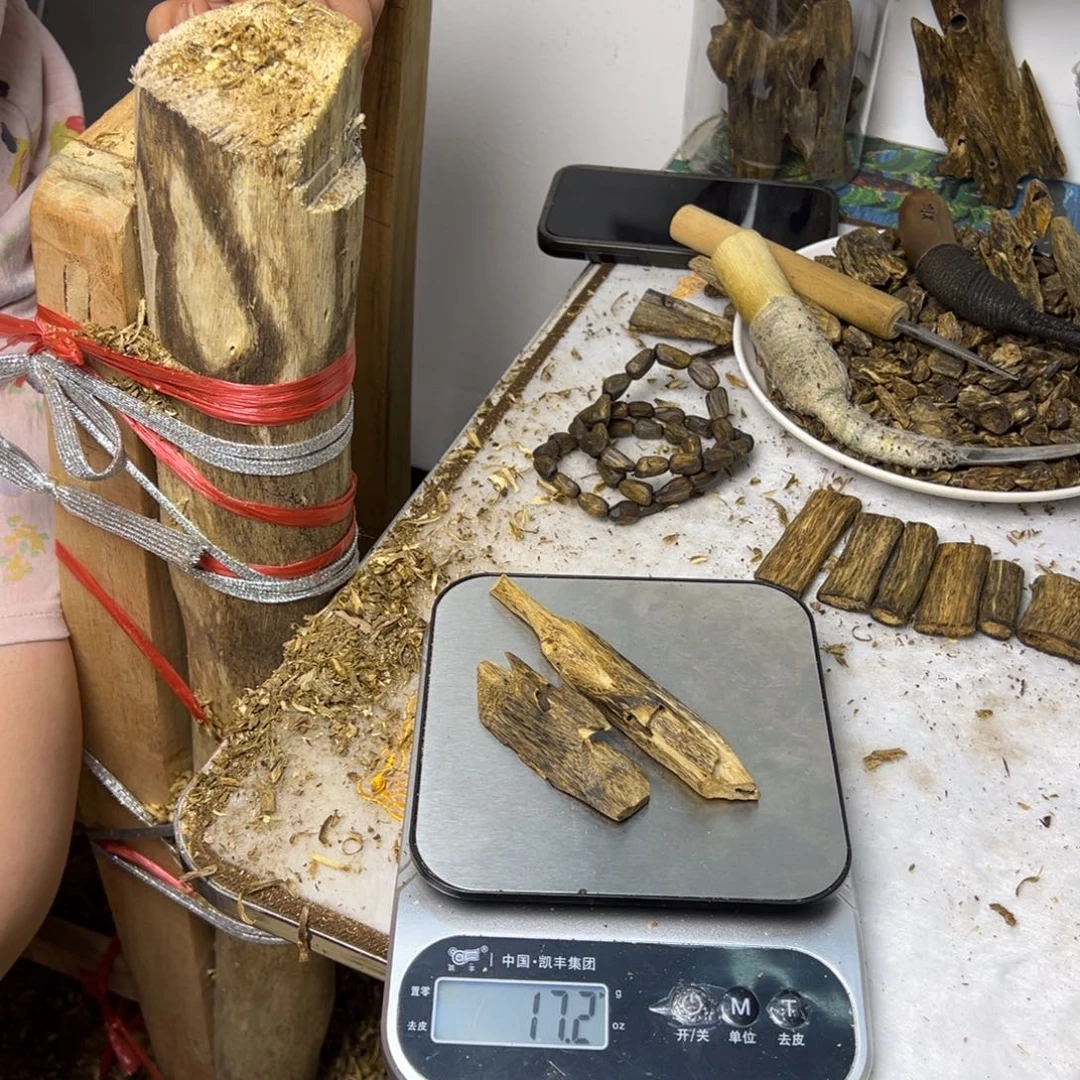 线香奇楠虫漏香17克