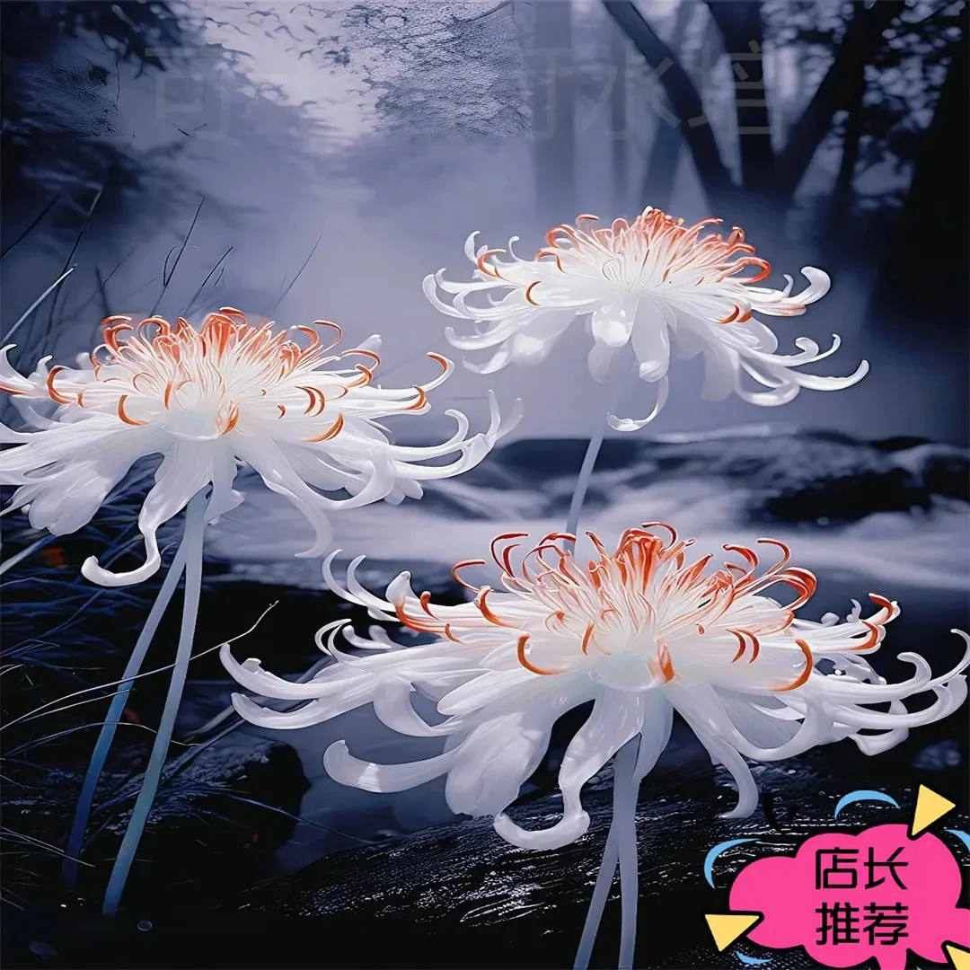 稀有曼珠沙华【冰火】彼岸花水培花卉植物种植花开耐寒耐热四季开花