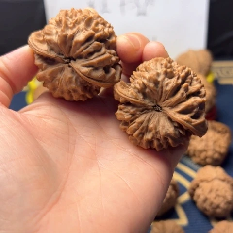 麒麟纹官帽46，47尺的