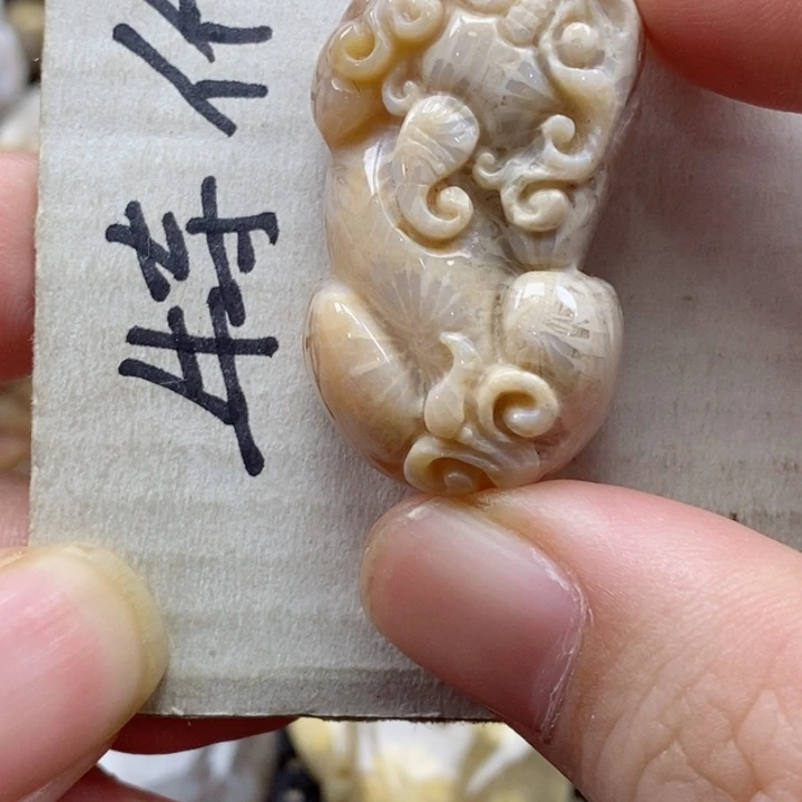 硅化珊瑚（珊瑚玉）颈饰未镶嵌小吊坠