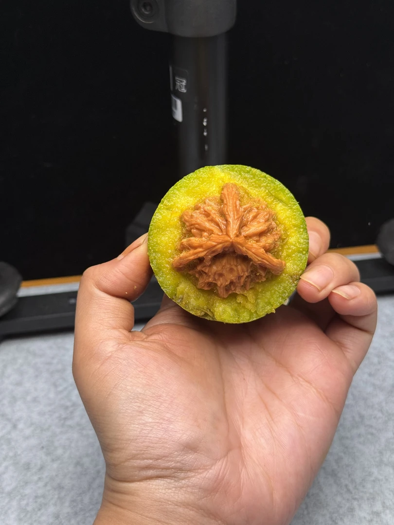 青皮文玩核桃狮子头 核桃雕