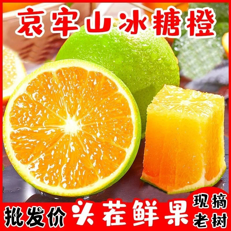 【哀牢山冰糖橙】正宗云南青皮橙子新鲜水果5/8斤现摘现发皮薄多汁