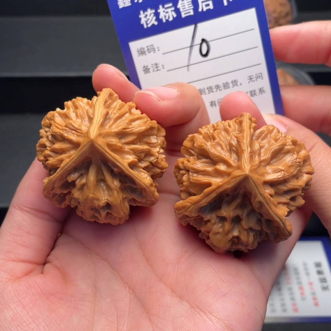 文玩核桃把件帝王三棱43尺