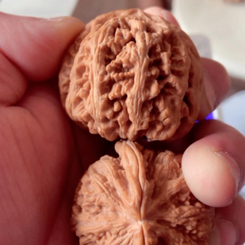 【闪购商品】勇**峰46全品无修大粗筋有修尖