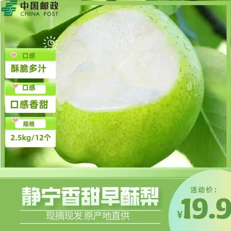 甘肃静宁早酥梨 应季 脆甜口感 产地直发 新鲜采摘