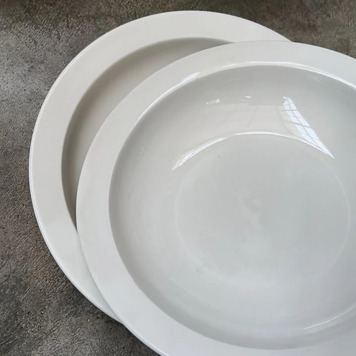 强化瓷的深盘19米两个