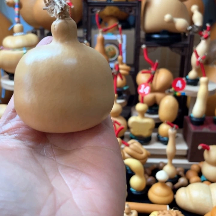 睡***菜～关晓兰一定可以找到合适