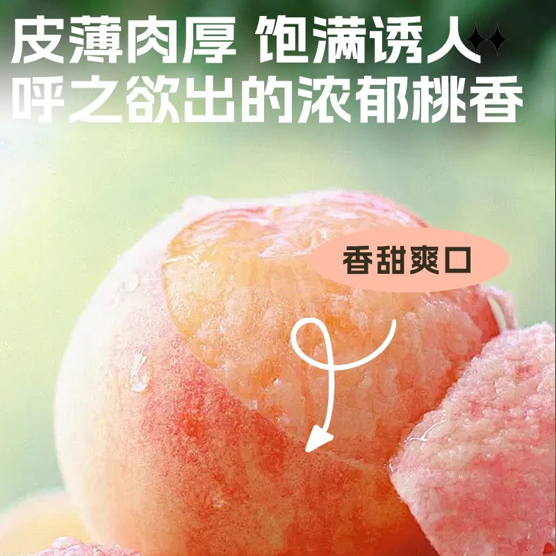 【单颗5-6两8枚礼盒装】正宗江苏水蜜桃超大桃子新鲜夏日水果现摘