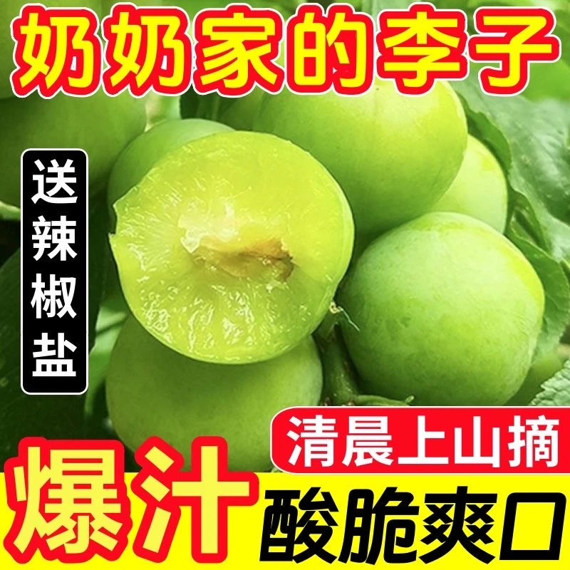 Z[新鲜采摘新鲜发货]正宗茂名三月李新鲜孕妇水果（赠送辣椒盐）