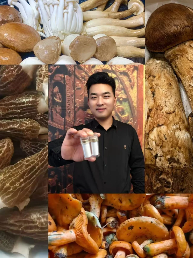 [土特产龙腾9专属项]0.8x108 总重量43g