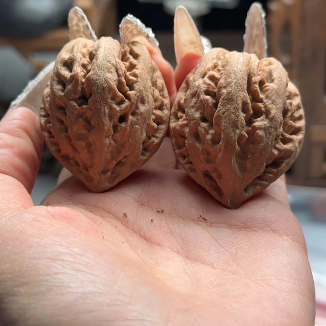 文玩核桃把件关东木子楸百核161