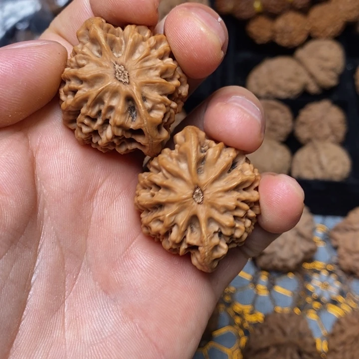 文玩核桃把件豆*秦岭秦闷