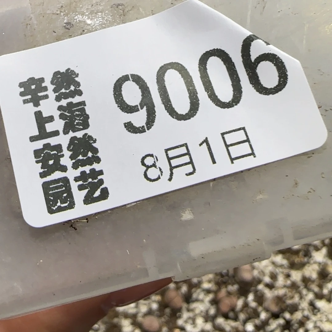 月***睡8.1。   .015。   9006