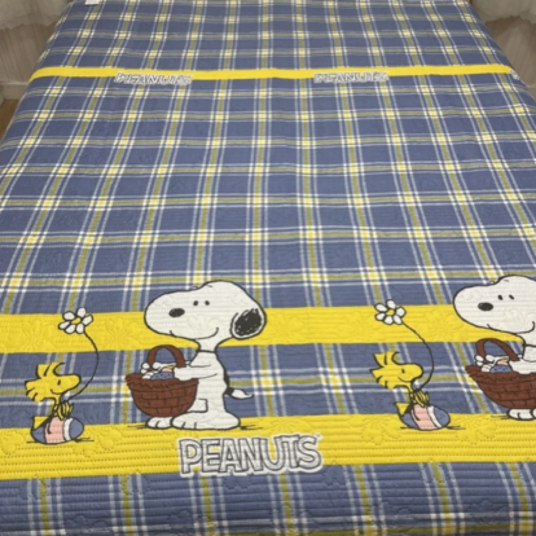 1米2乘2米，1米5乘2米，单人四季双面床盖