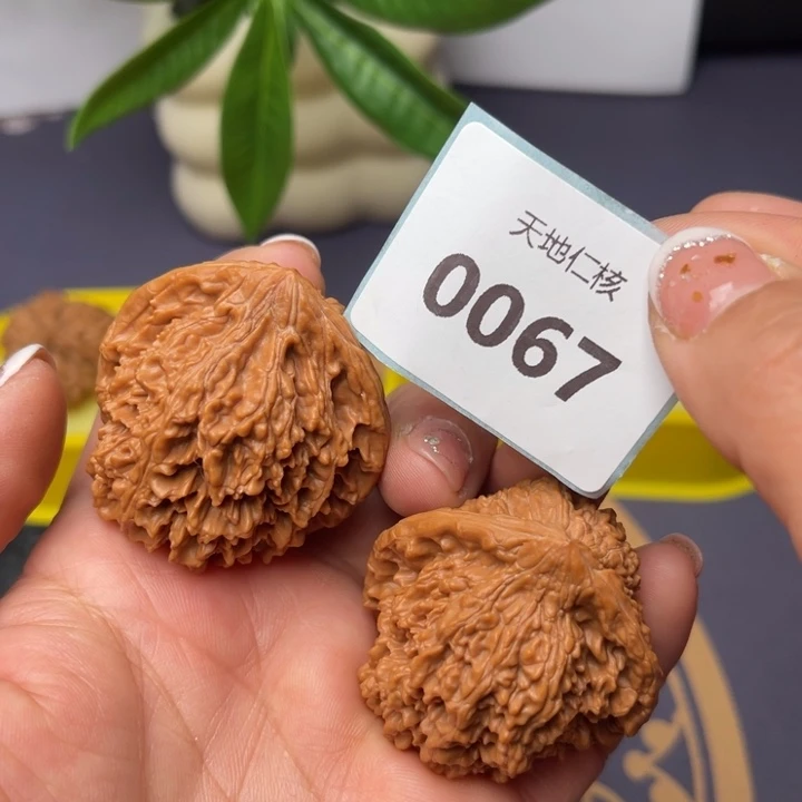 文玩核桃把件毛*熊43满天星67