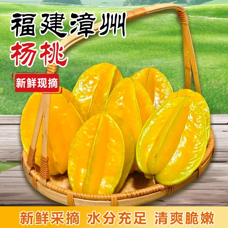 树熟杨桃自然成熟皮薄肉厚多汁五星网红杨桃果园现摘现发清甜脆口