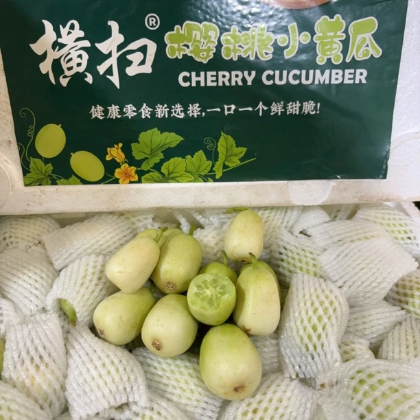 樱桃小黄瓜小不点～鲜甜脆