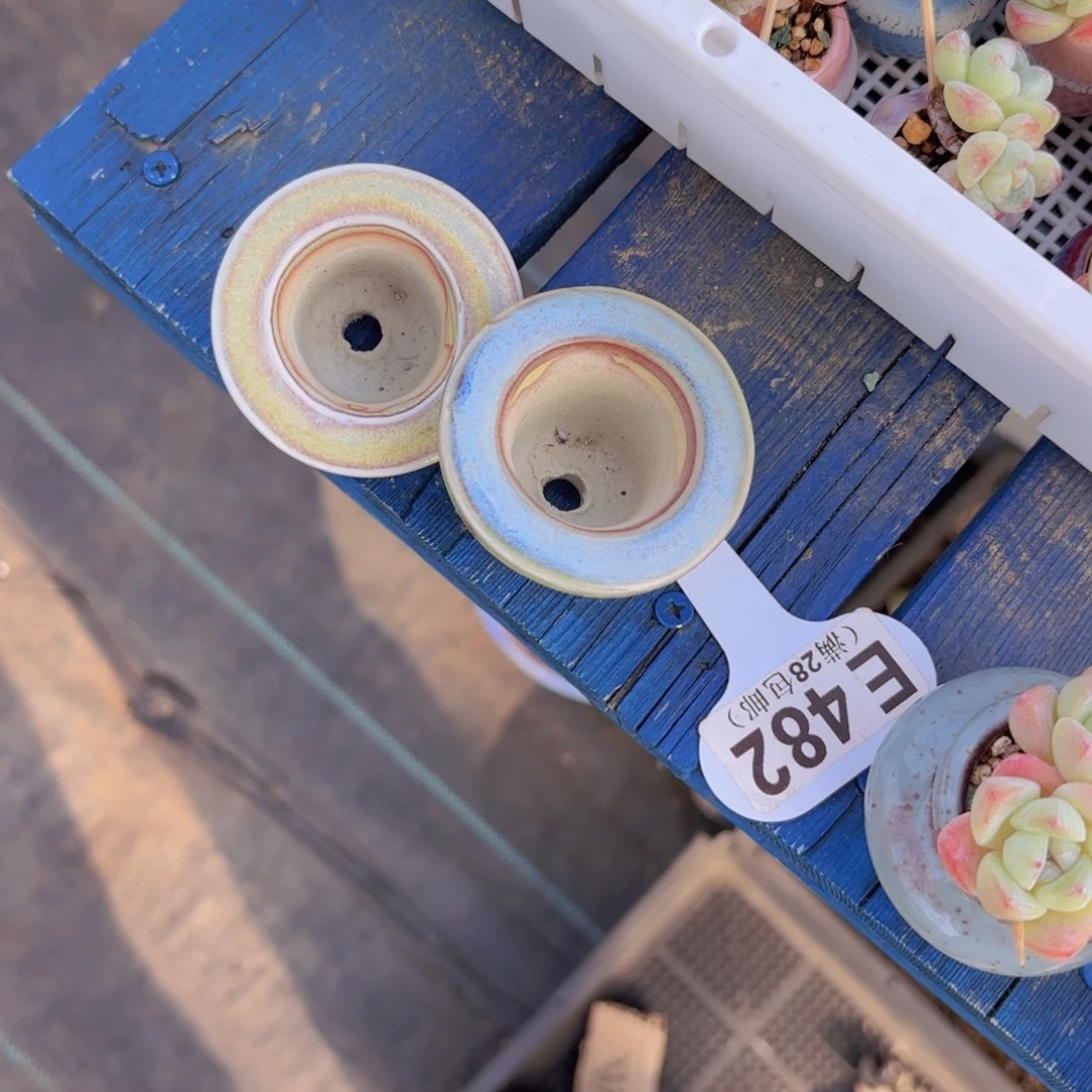 这***吃两人盆一物一拍111