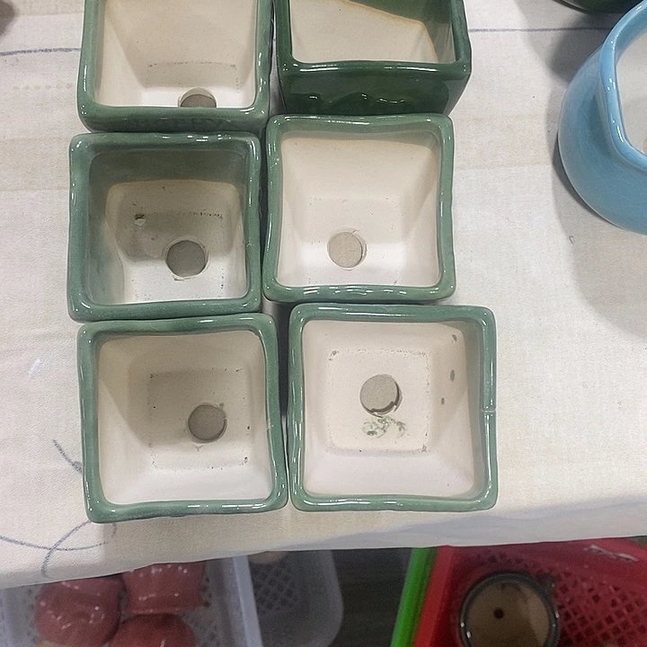 花盆抢购清货马上开始