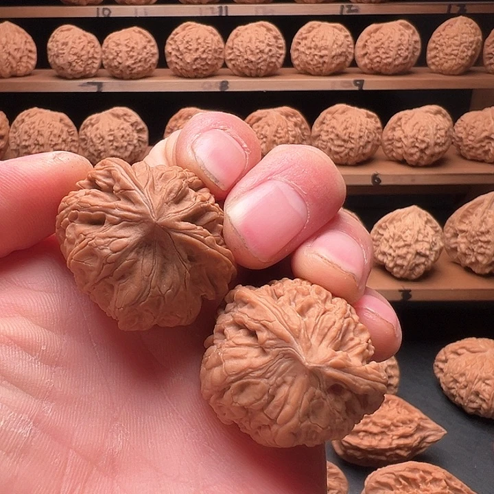 文玩核桃把件眼镜蛇子母对