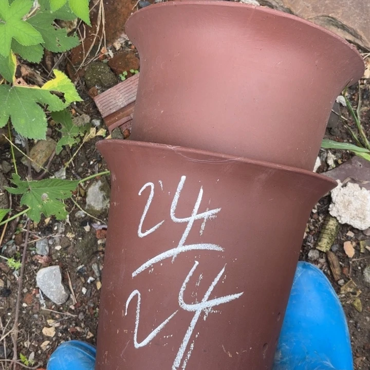 紫砂花盆紫砂的花