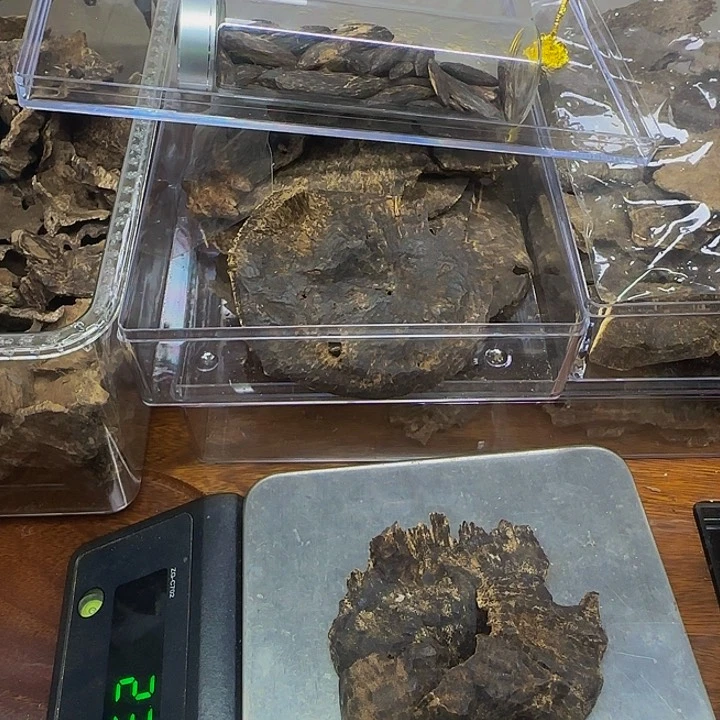 沉香碎屑沉香海南料20克