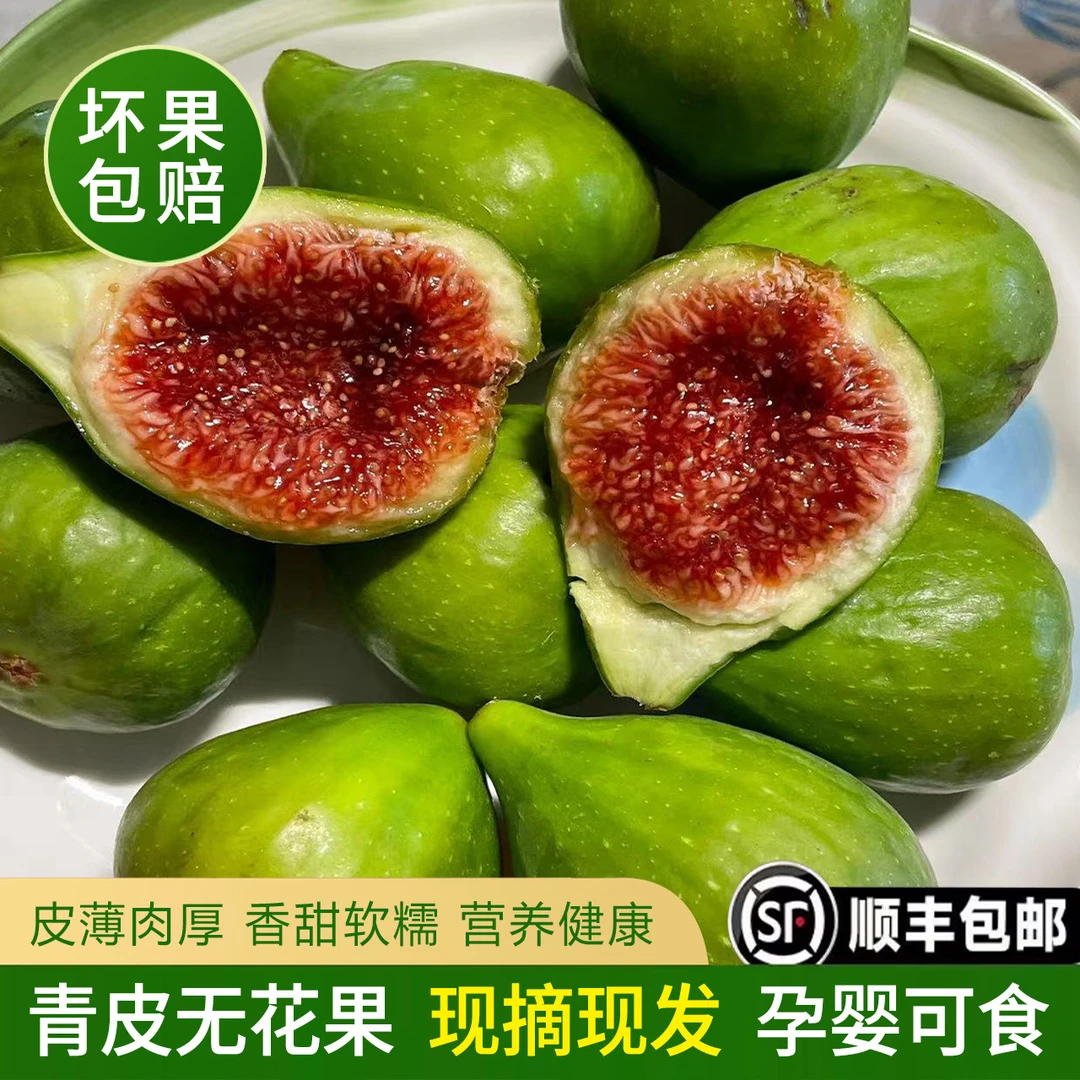 威海青皮无花果现摘现发(六小时内签收坏果包赔 介意勿拍)