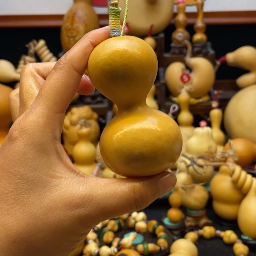 ?***飞大自然的秘密第十一节的