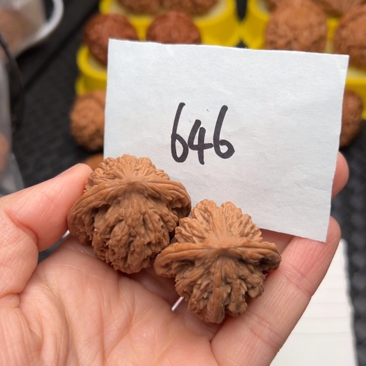 核桃36尺寸麦穗虎头