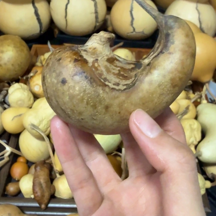 平****啦啦健健康康健健康康健健康康