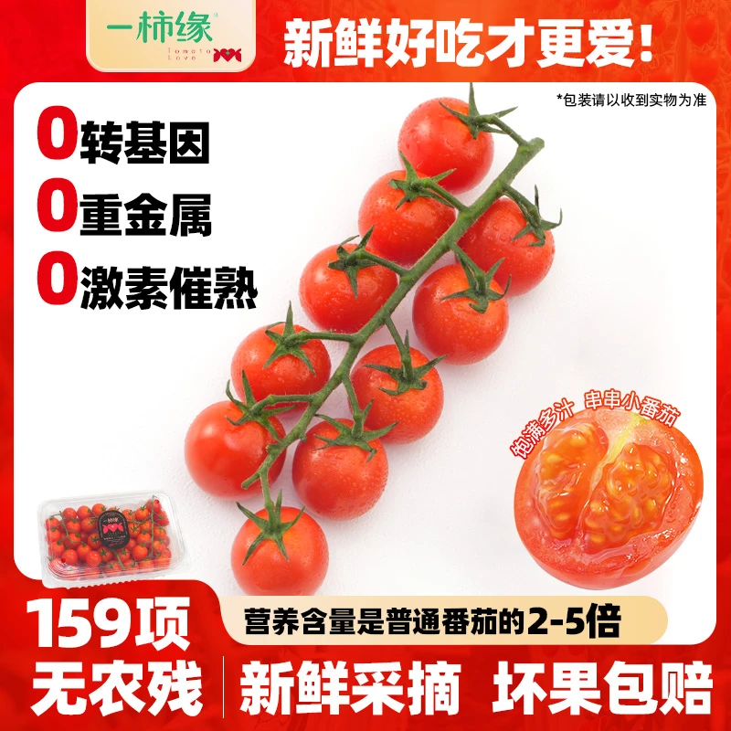 一柿缘两斤串收樱桃小番茄酸甜多汁一口爆浆自然成熟水果车厘串茄