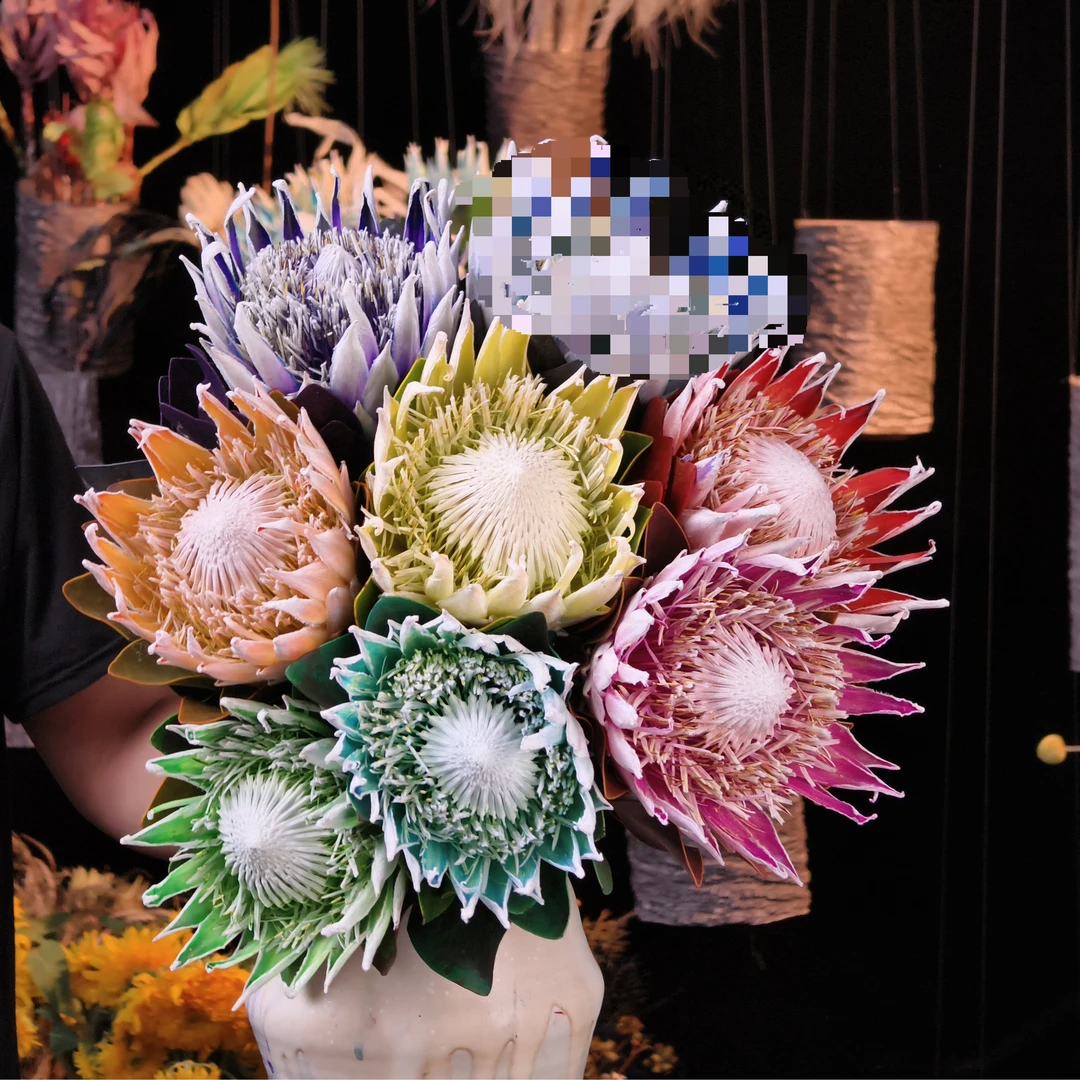 【整体长度40cm-50cm白帝王福利】南非进口鲜花白帝王