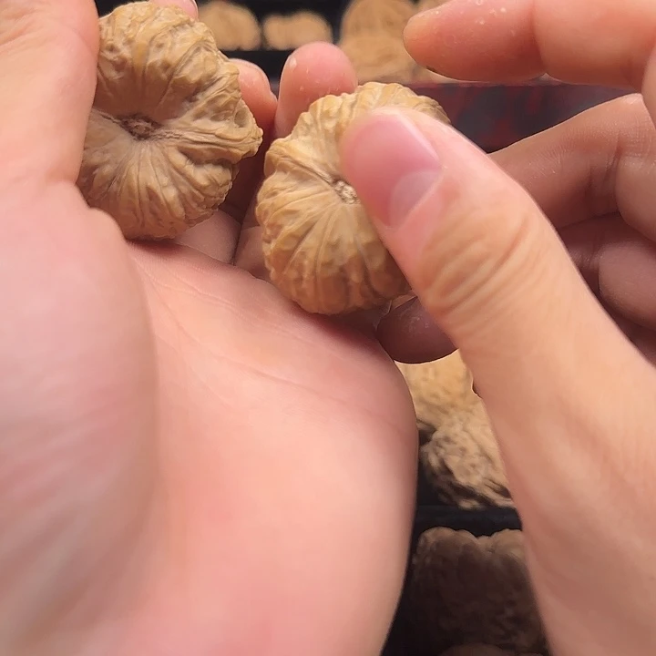 风***0龙脊菩提吊坠啊啊啊啊啊啊啊南瓜15