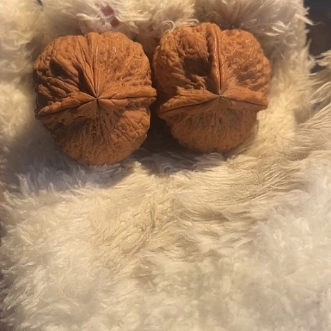 文玩核桃把件霸王鼎带彩36