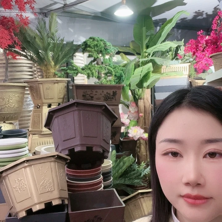 复合八角40盆3个八角50盆1个