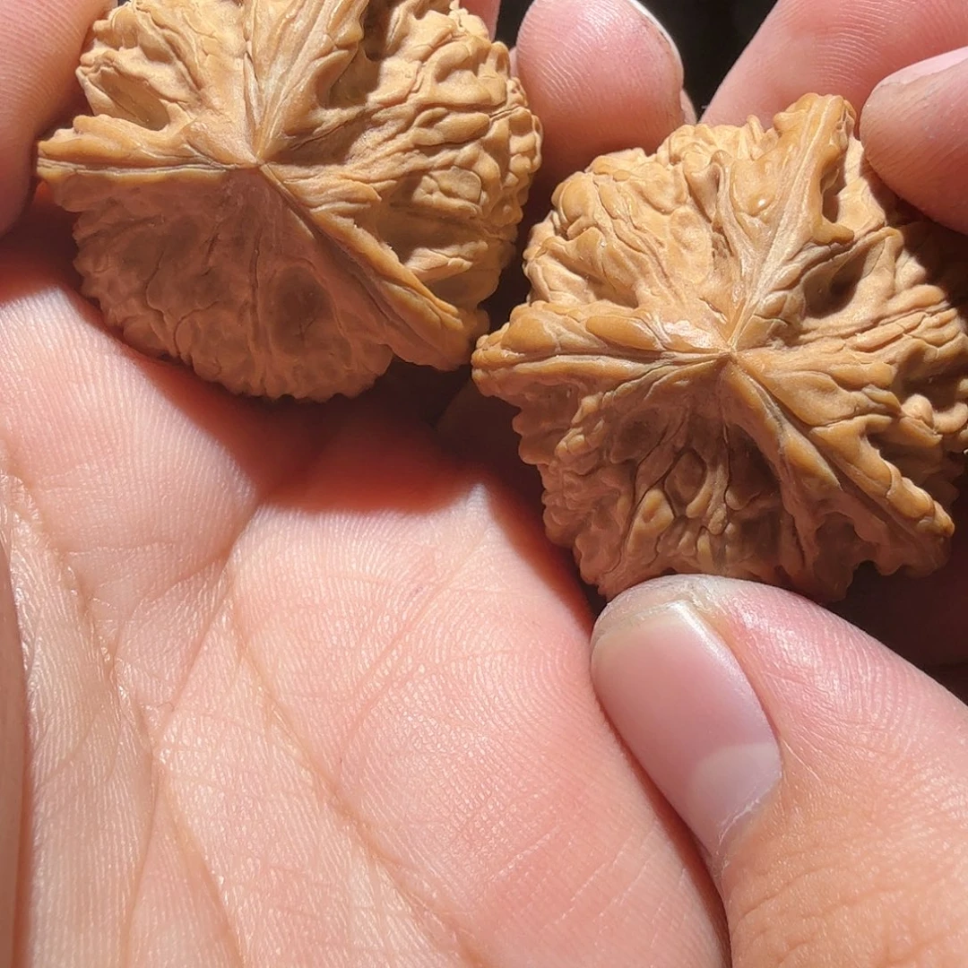 文玩核桃把件御龙