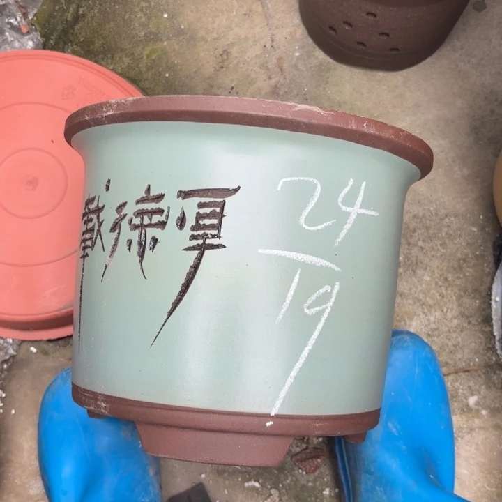 紫砂花盆紫砂的颜色