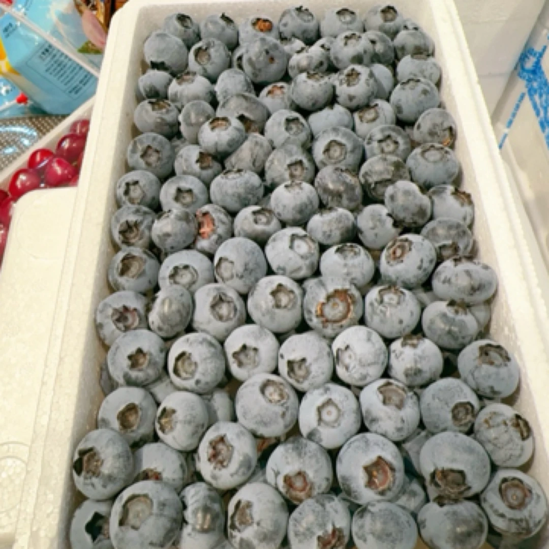 福利款丹东蓝莓18mm450g左右优瑞卡黑龙江省双鸭山市