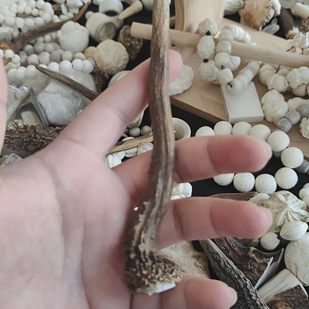 鹿角精品小角颜色特别好万里挑一