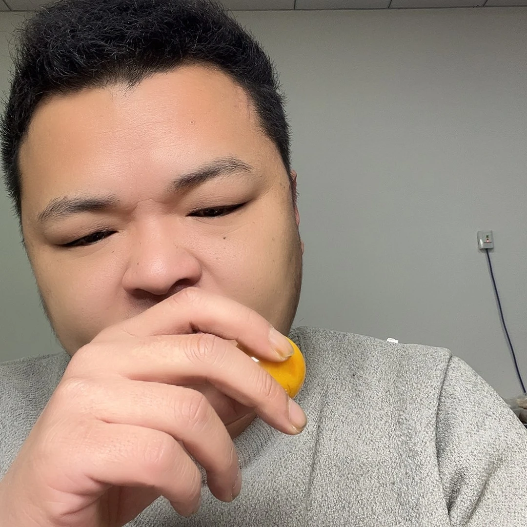 大果紫檀（缅甸花梨）C090