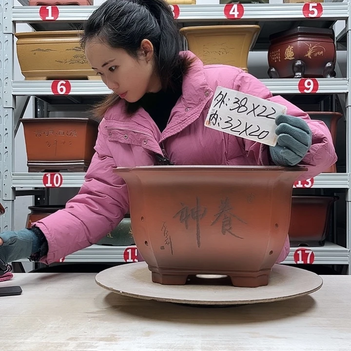 紫砂花盆紫砂花盆