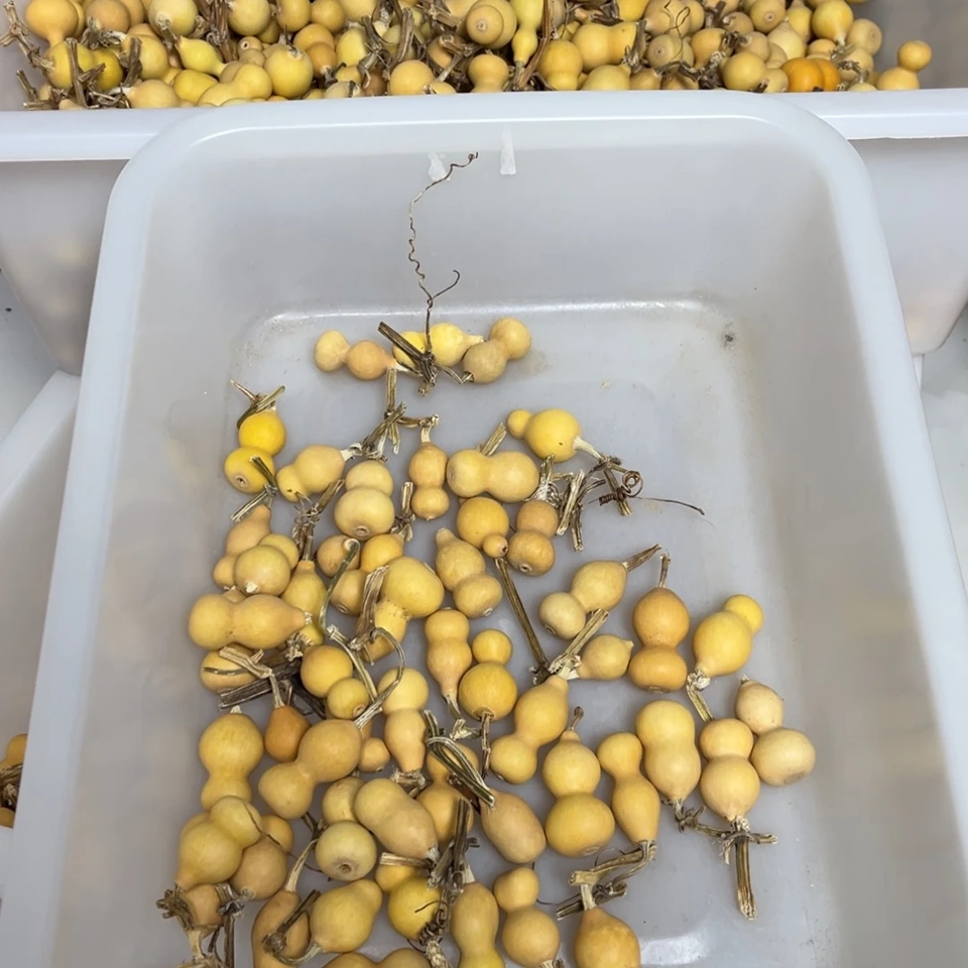 霞***6通货草里金1元一个50个备损5个