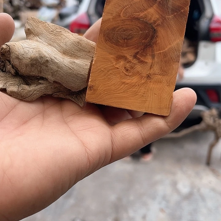 ****回柏木（崖柏）料55555555