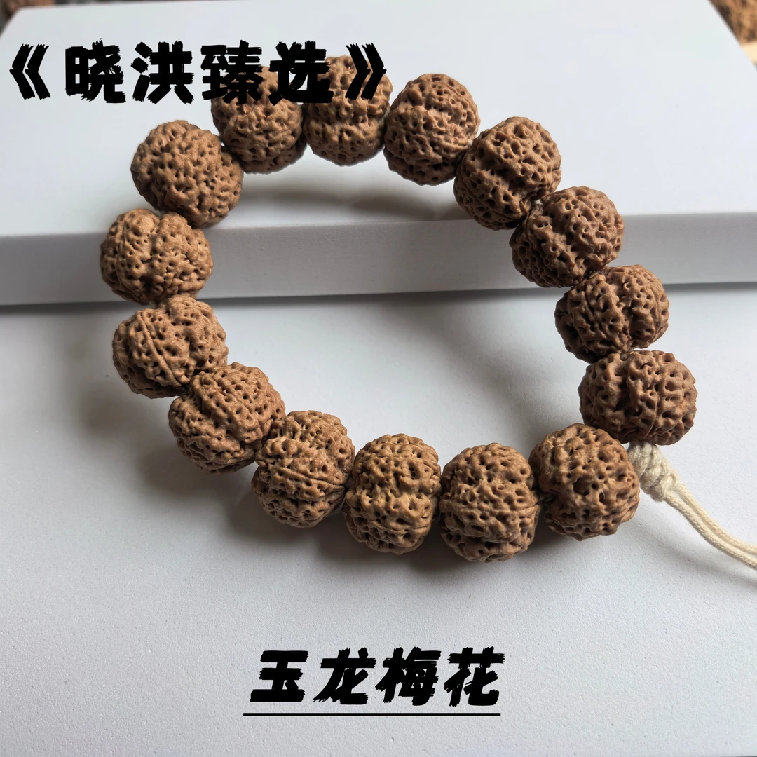 《晓洪甄选》古龙·梅花，高龙筋，玉透的大金刚菩提皮质大金刚