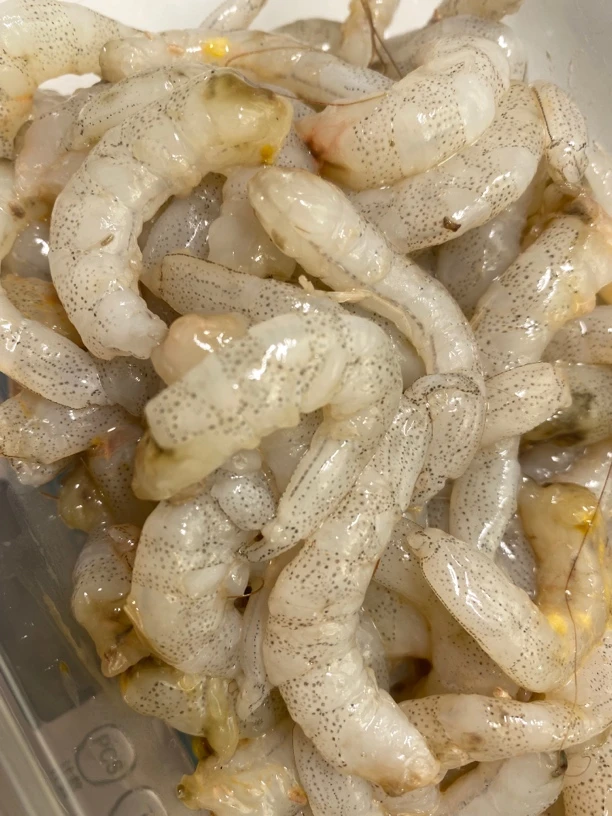 4盒手工现剥毛虾虾仁 顺丰快递 速冻发货