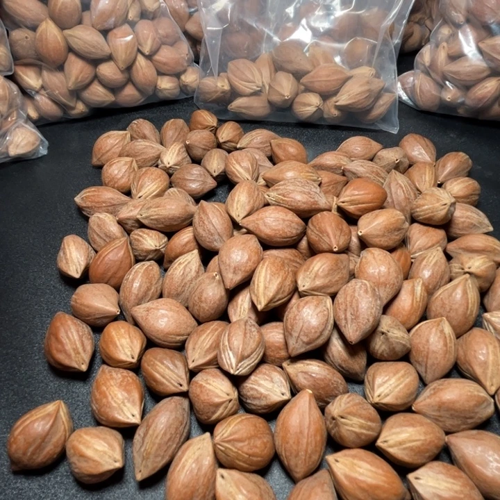 半***闲手串/手链猪牙我是