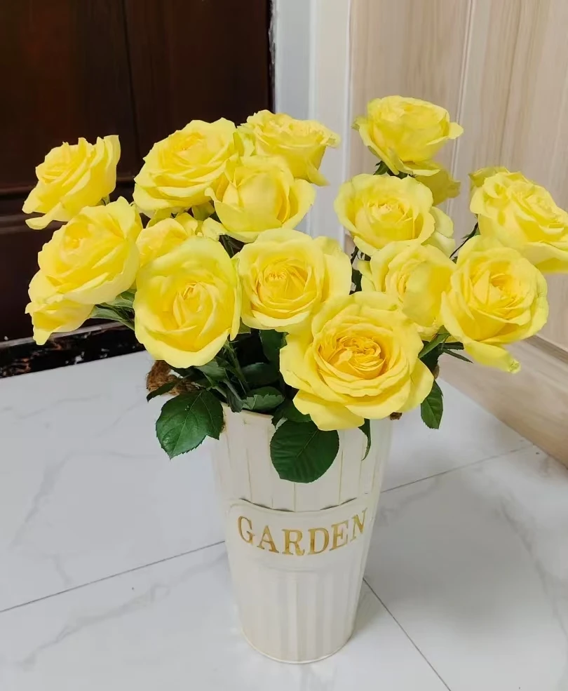 鲜花  单头玫瑰   奇迹女神15支+5支不售后  两单包邮