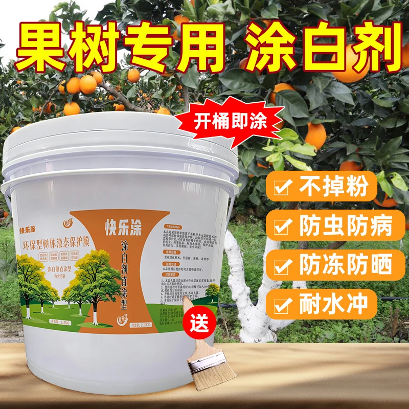 涂白剂家庭桶装直涂型树木涂白剂防病虫果树盆景舍利抗寒防冻石灰