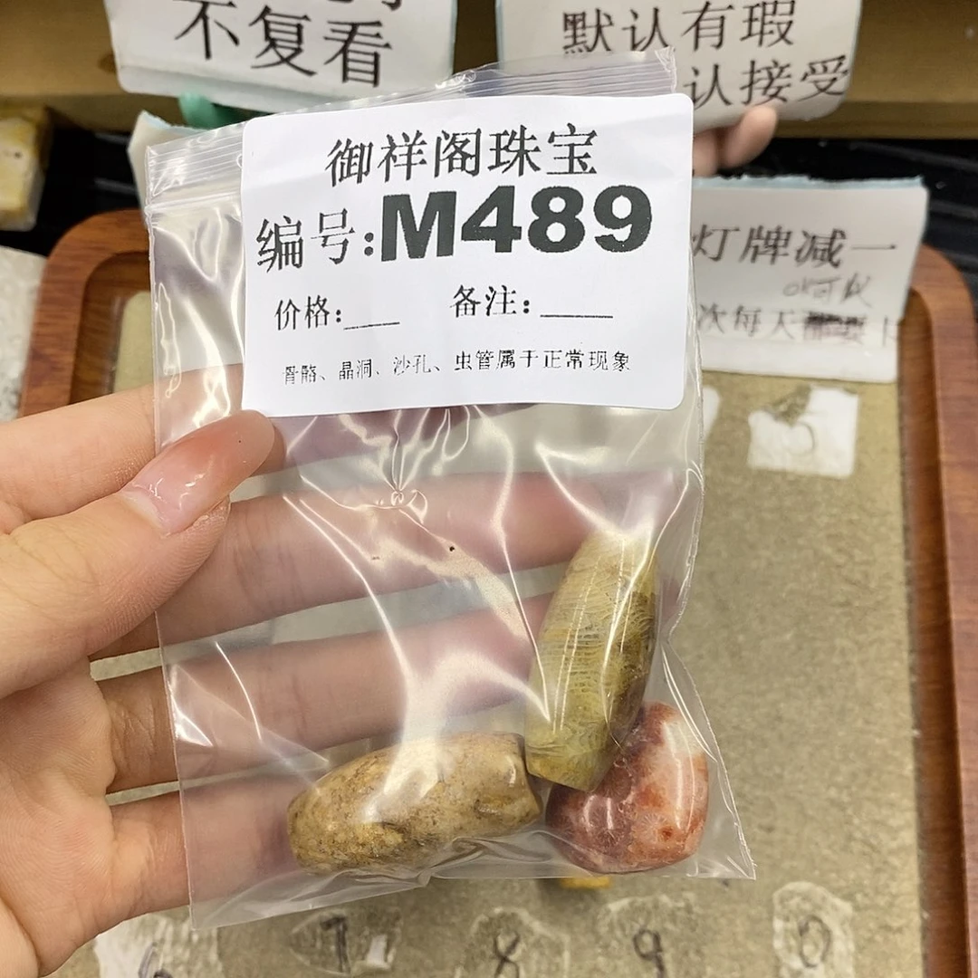 硅化珊瑚（珊瑚玉）未镶嵌颈饰༄****